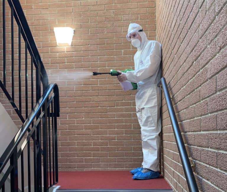 Electrostatic cleaning