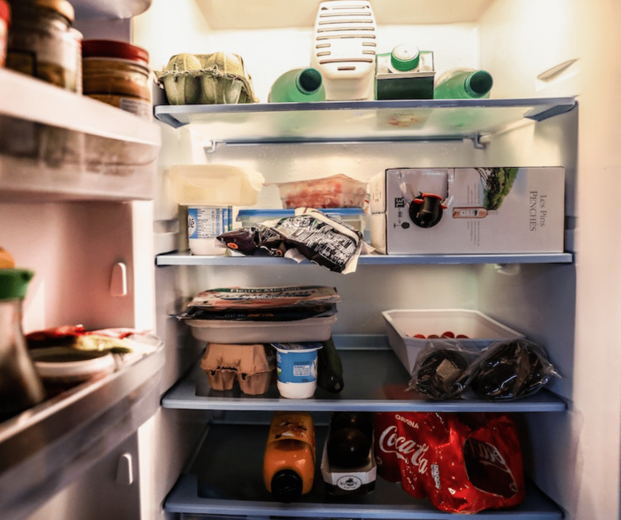 clean a fridge with vinegar