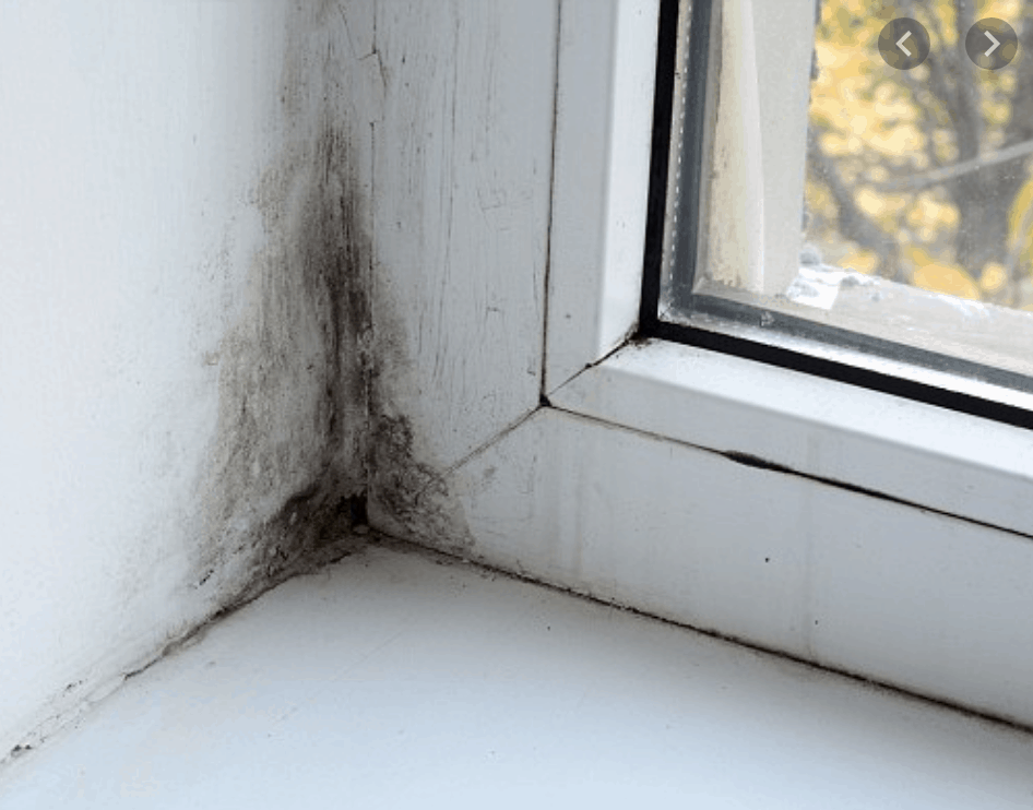 How to Prevent Mold Around Windows with These Silicone Sealants